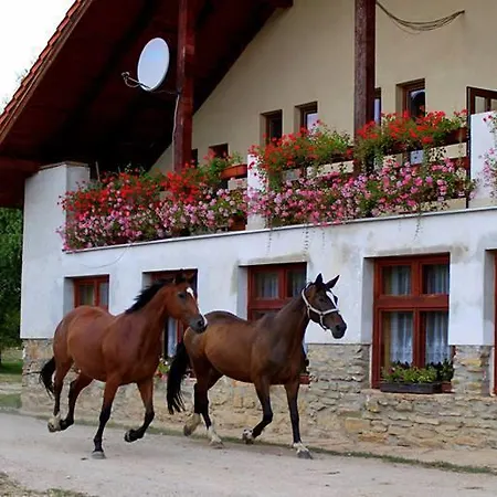 Gasthof U Bieleho Kona Rožňava